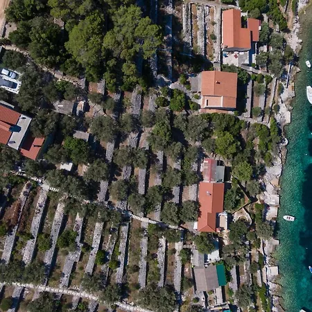 Olive's Garden House *